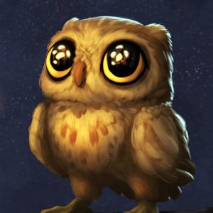 Chouette - Savinien Boyer Illustrateur