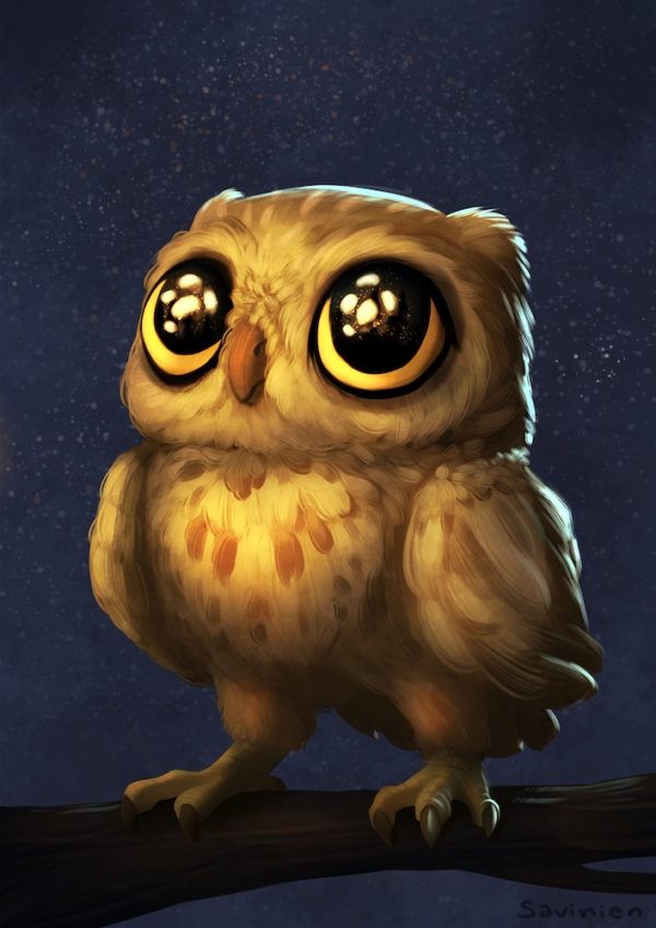 Chouette - Savinien Boyer Illustrateur