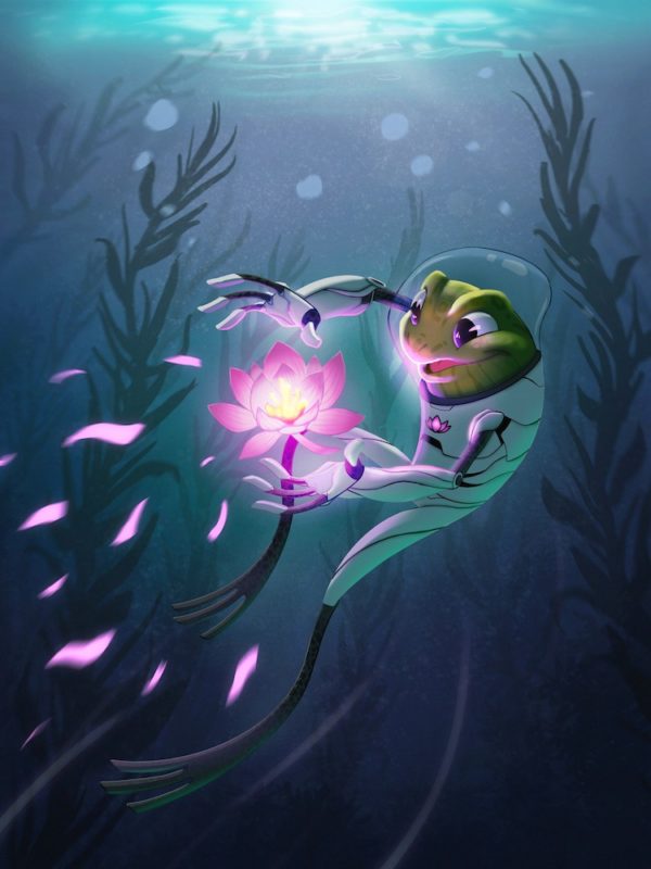 Grenouille - Savinien Boyer - Illustration