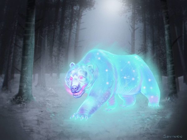 Ours fantôme - Savinien Boyer - Illustration